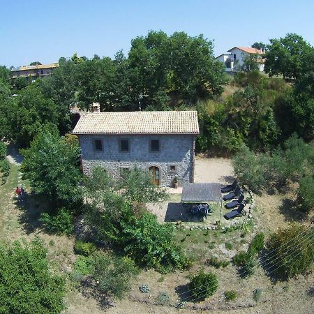 Fattoria Capobianco Vila Montefiascone Exterior foto